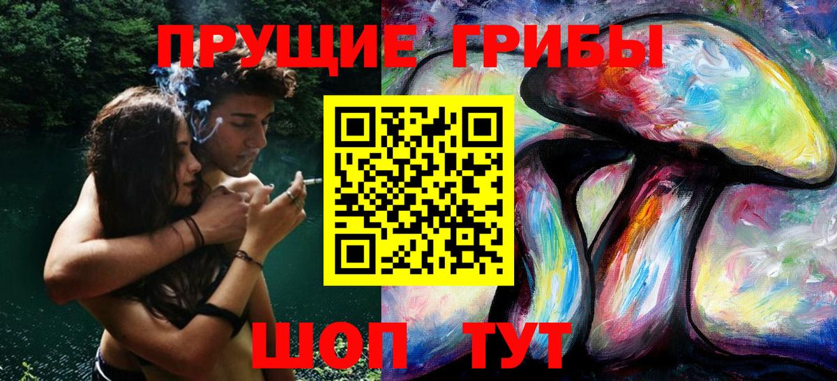 Галлюциногенные грибы Cubensis  Вход с VPN  Пенза  Псилоцибиновые грибы мицелий 